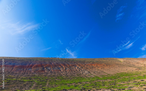 A herd of grazing goats in ...