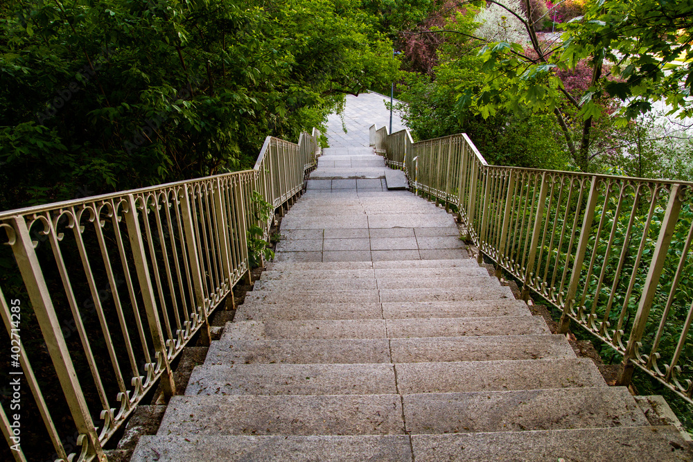 A staircase leading down among the trees..