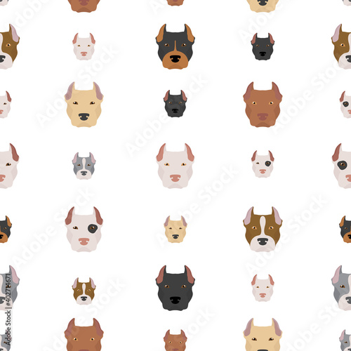 Wallpaper Mural American pit bull terrier dogs set. Color varieties, different poses. Seamless pattern Torontodigital.ca