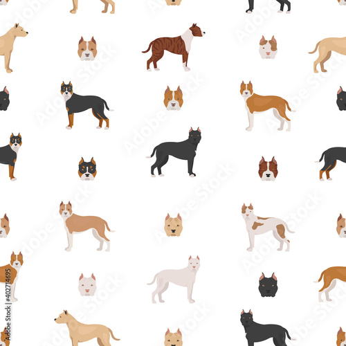 American staffordshire terrier dogs set. Color varieties  different poses. Seamless pattern