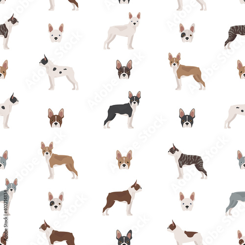 Boston terrier seamless pattern