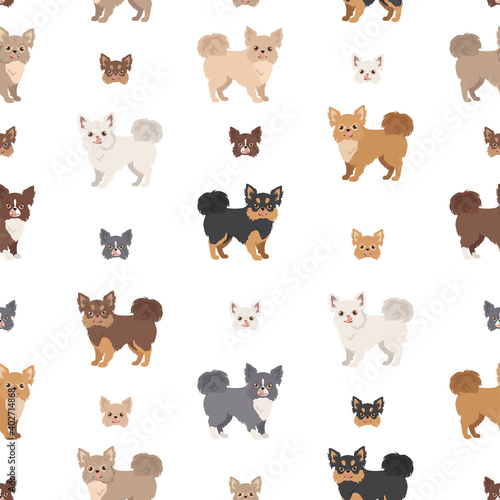 Chihuahua seamless pattern. Dog healthy silhouette and different poses background