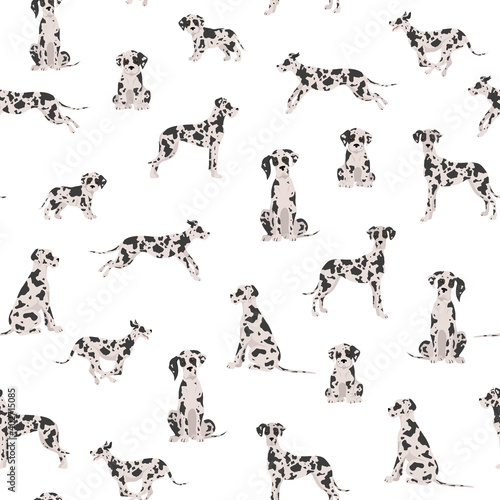 Great dane seamless pattern. Different variaties of coat color dog set