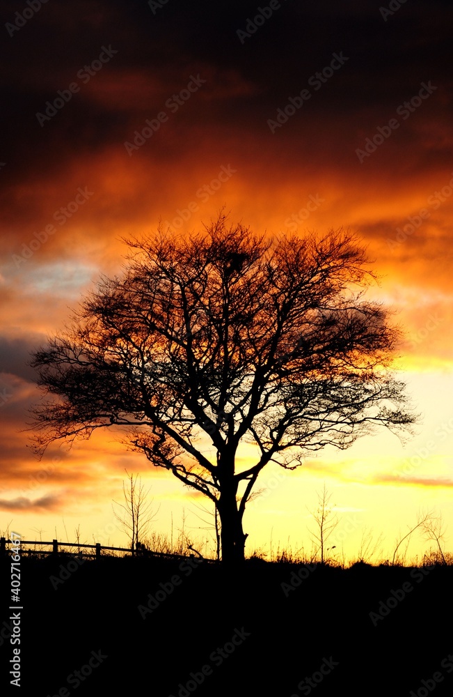Burning sky Burning sky