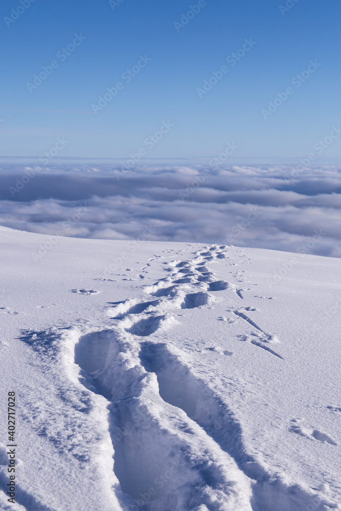Foot steps through deep snow above the fog in a beautiful winter landscape