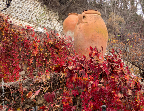 Two big ceramic pots in the autumn botanical garden. Plants with red leaves around.