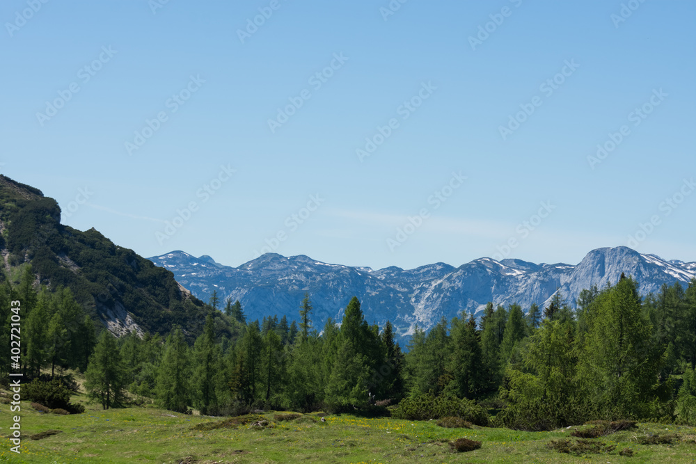 wonderful nature with trees and mountains in the distance