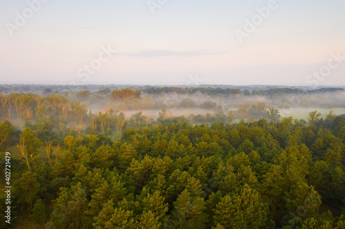 Riparian forest with fog among green trees and meadows at sunrise. Summer nature scenery of a woodland from aerial perspective. Vivid wilderness from above.