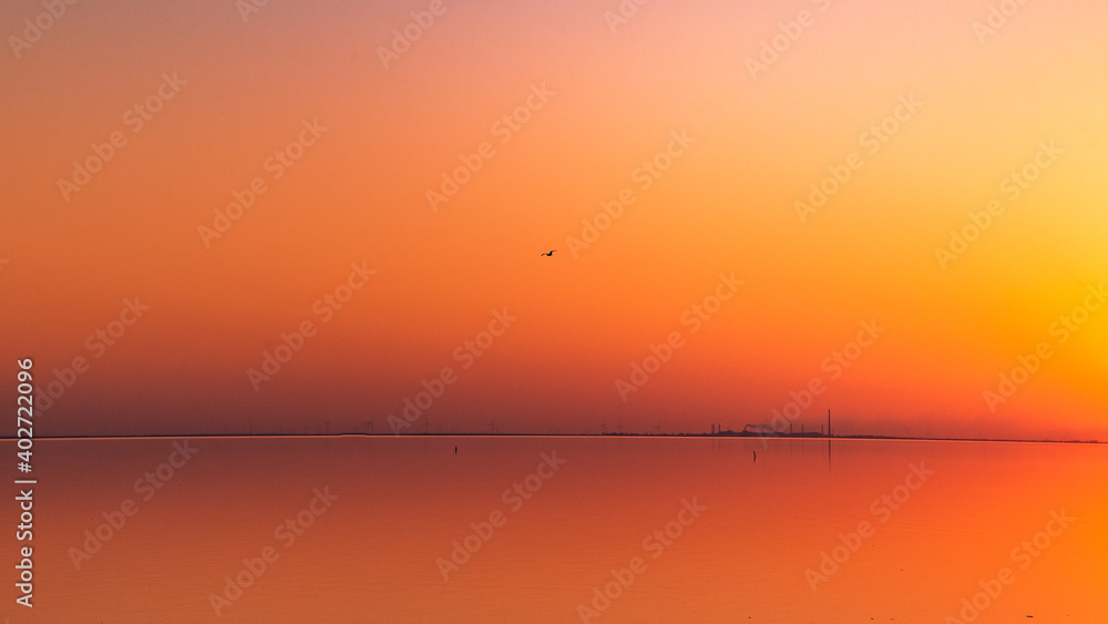 sunset, on a pink lake, a bird in the sky, a factory beyond the horizon
