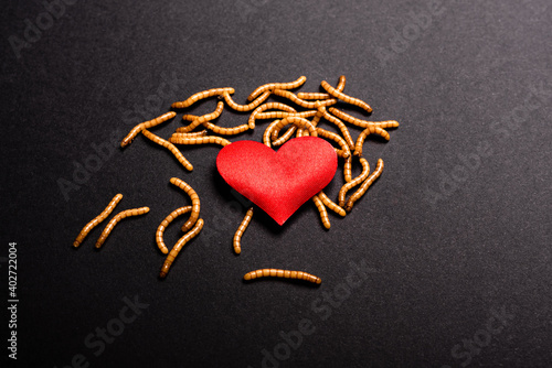 Papier peint Worms devour the red heart of lost and rotten love.