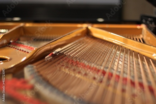 Open Beautiful Brown Grand Piano Strings Macro