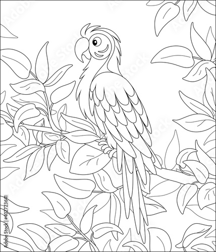Amusing long-tailed parrot macaw with a striped plumage, perched among leaves on a tree branch in a tropical jungle, wild scenery, black and white vector cartoon illustration