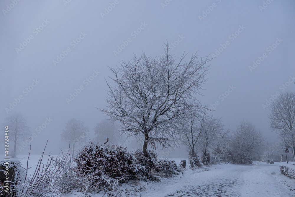 Winterurlaub in der verschneiten Eifel Winterurlaub in der verschneiten Eifel