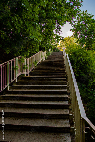 Fototapeta Naklejka Na Ścianę i Meble -  A staircase leading up among the trees..