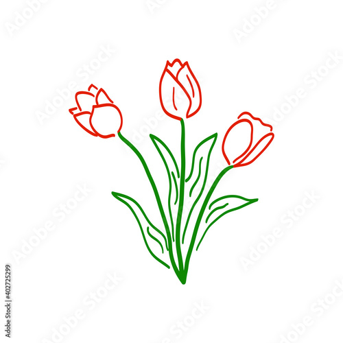 Hand drawn red tulip flowers bouquet isolated. Vector drawing background illustration doodle icon