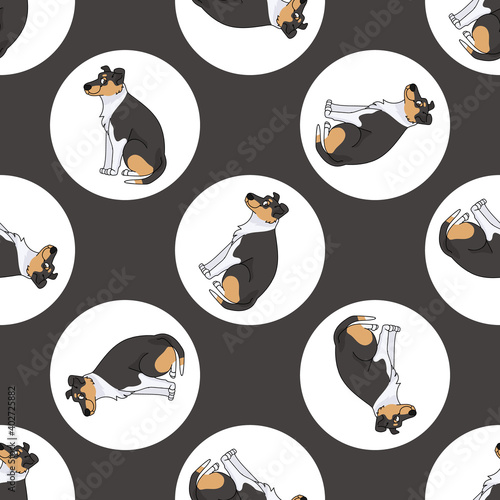 Hand drawn cute Smooth Collie dog breed in polka dot seamless vector pattern. Purebread pedigree puppy domestic on dotty background. Dog lover toy dog all over print. Kennel club pooch.  photo