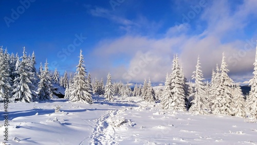snow landscape