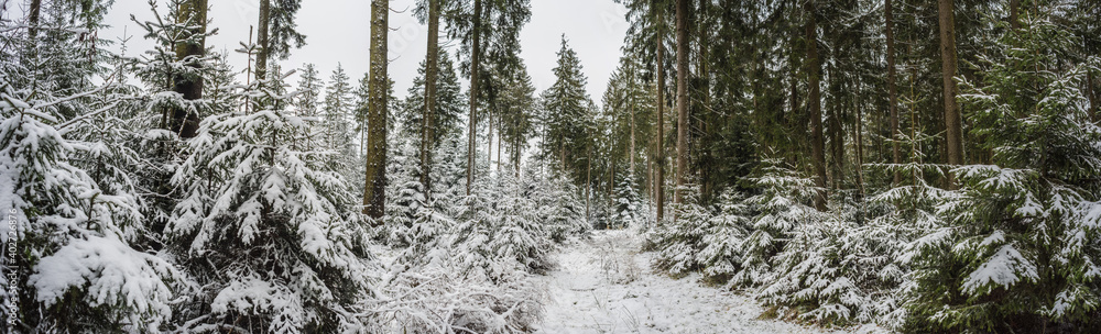 Winter time landscape with snow and trees. Fresh and cold season. Outside in nature.