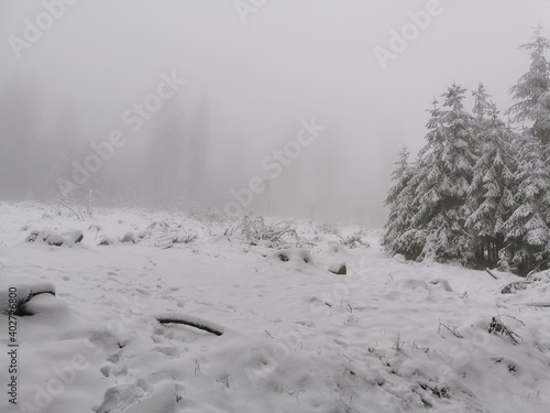 Schnee am Feldberg im Taunus (Lockdown, Verkehrschaos)