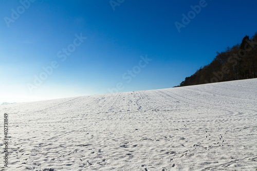 Beautiful white winter forest wonderland scenery in Lower Saxony Germany on a cold sunny day with clear blue sky.