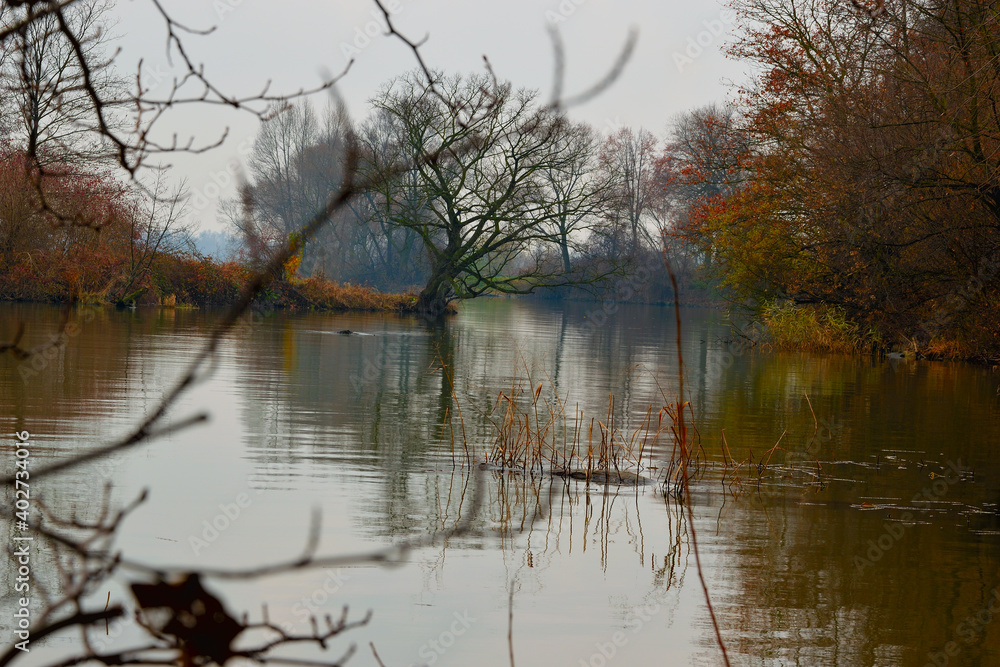 Obraz premium Lake in autumn with trees in background