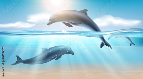 Jumping Dolphin Realistic Background
