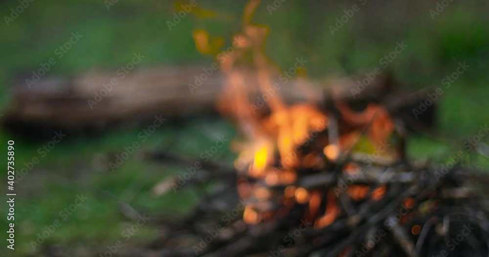 Burning camp fire in the woods. Natural wood log lies on the ground background. Blurred background video. Travel and vacation concept Burning camp fire in the woods. Natural wood log lies on the ground background. Blurred background video. Travel and vacation concept