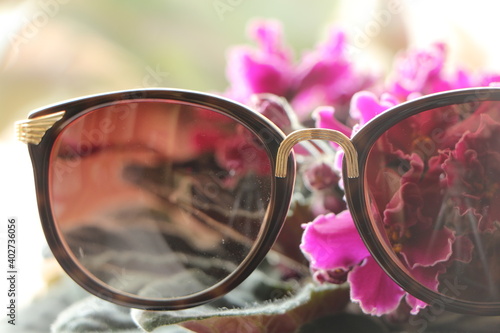 Фотография Sunglasses on african violet (Saintpaulia) flower