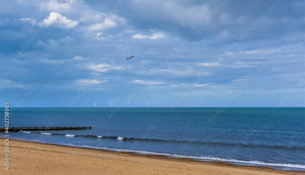A view out to sea off Skegness beach, UK with a lone seagull and a modern wind farm on the horizon on an autumn afternoon