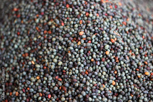 Closeup pile of terebinth berry also known as menengic. Pistachia terebinthus as a background.