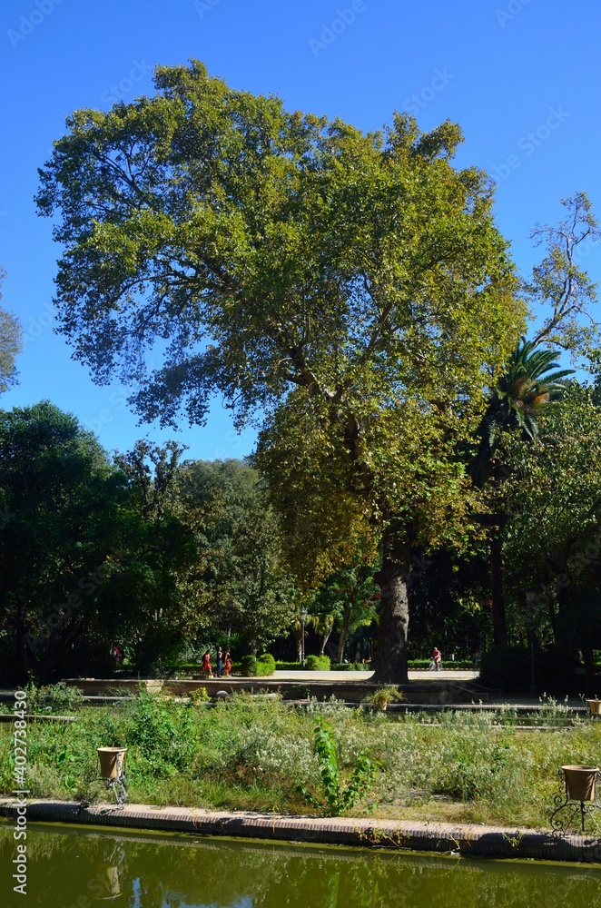 Parque de María Luisa, Sevilla
