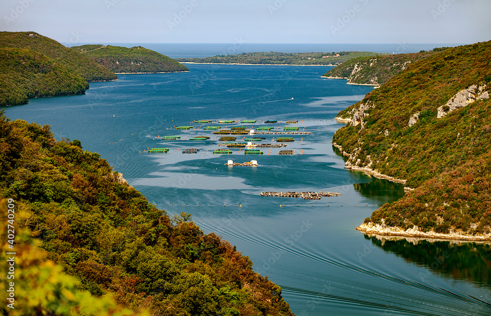 view of the oyster farm in the Limski fjord - obrazy, fototapety, plakaty 