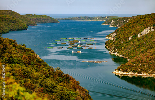 view of the oyster farm in the Limski fjord photo