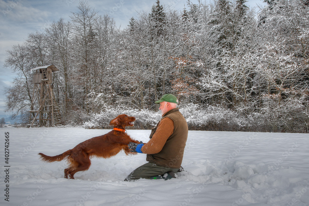 A hunter happily plays with his young Irish Setter hunting dog in the snow in front of his hunting pulpit.