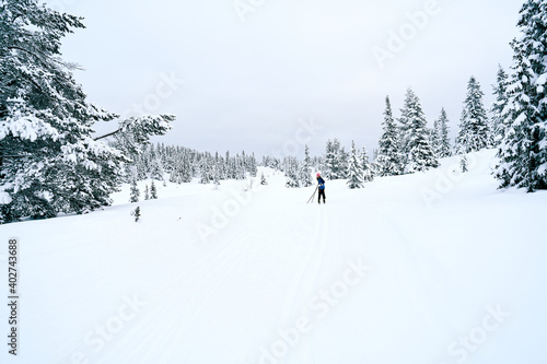 Cross country skiing in the mountains. Family activity.