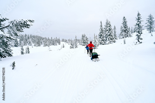 Cross country skiing in the mountains.  Family activity.