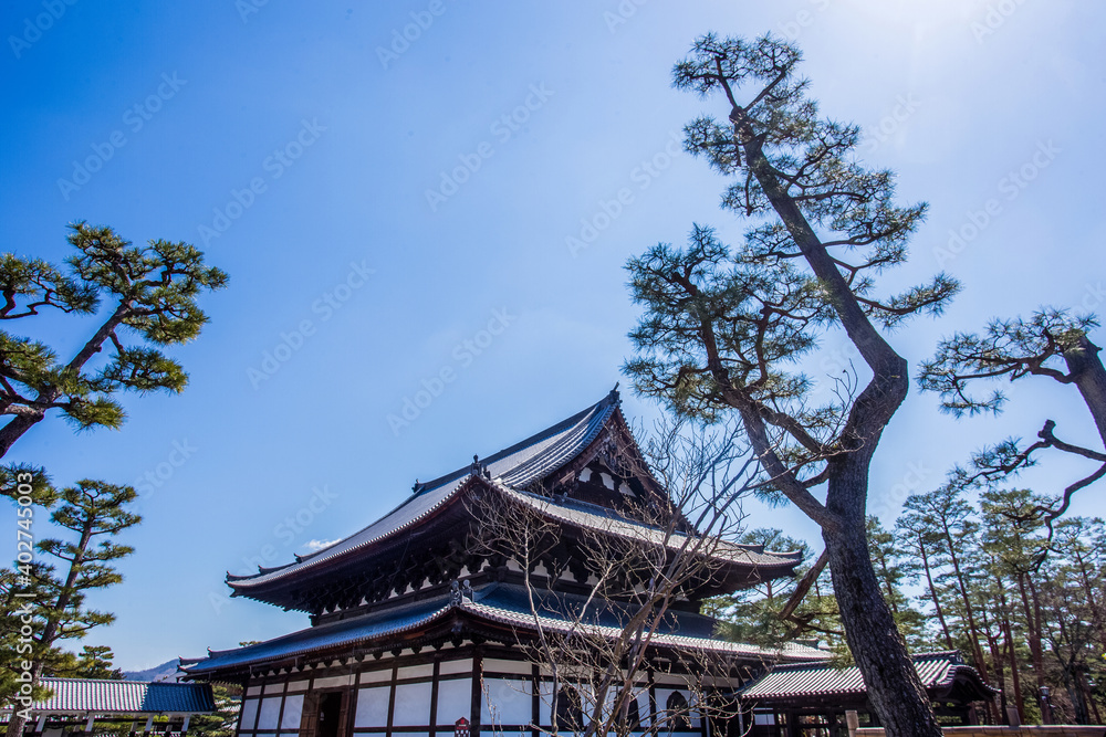 Amazing pagoda in Kyoto and pine trees (religion Buddhism) Amazing pagoda in Kyoto and pine trees (religion Buddhism)