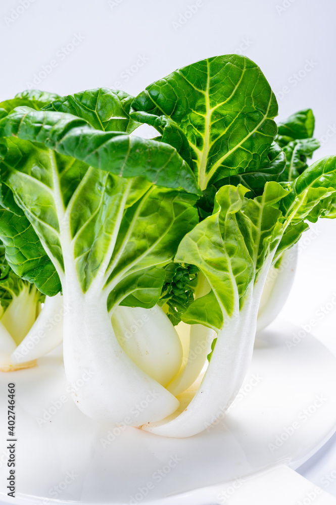 Young white bok choy or bak choi Chinese cabbage