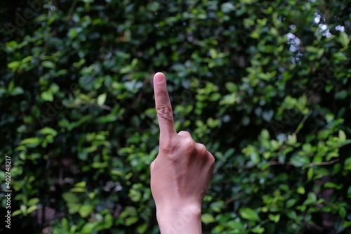 The hand of a person who raises his index finger as a sign of agreement, interruption, or to vote on an issue © Bari
