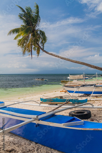 Palm and boats at the Paliton Beach on Siquijor island, Philippines. photo