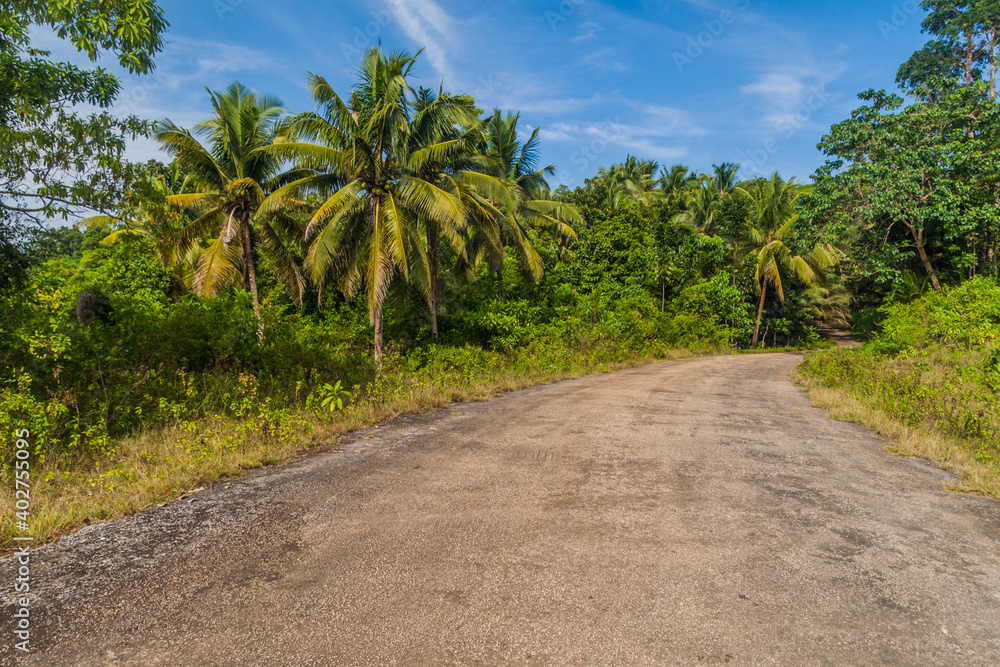 Country road on Siquijor island, Philippines.