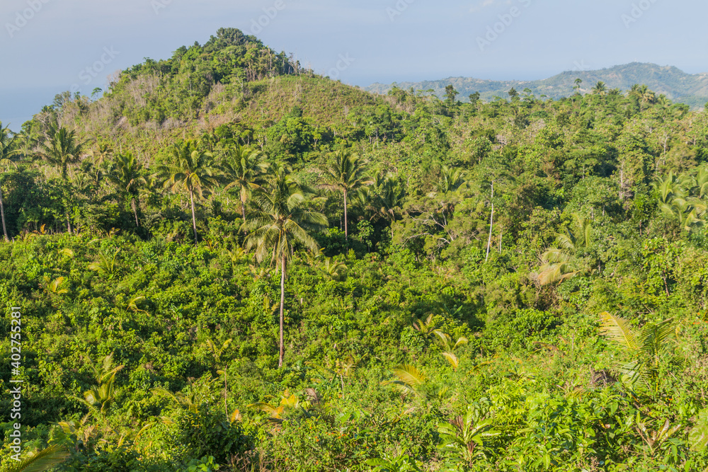Landscape of Siquijor island, Philippines.
