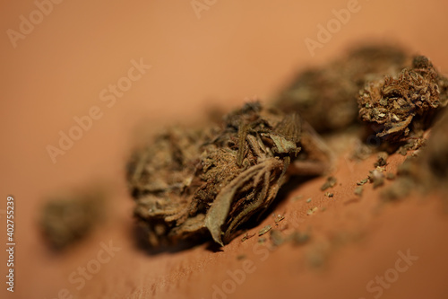 Medical marihuana pharmaceutical use cbd super lemon haze close up modern high quality prints