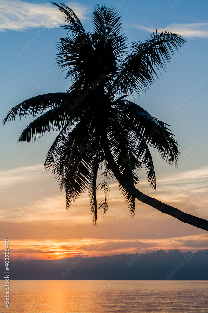 Sunset view of palm silhouette on Siquijor island, Philippines.