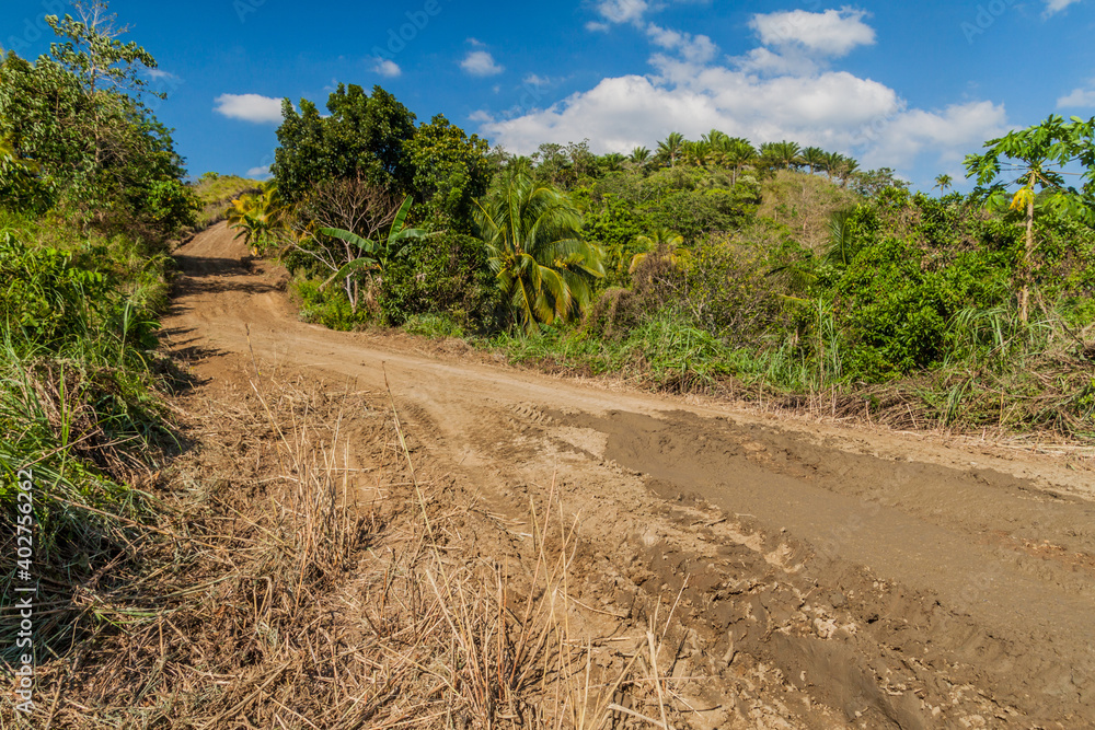 Muddy country road on Bohol island, Philippines