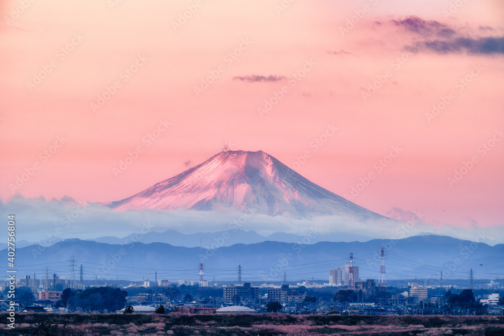 Fototapeta premium 荒川の河川敷から見る朝日を浴びた富士山