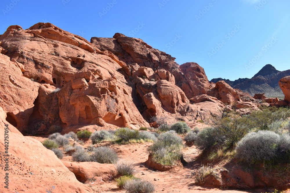 Obraz premium park state