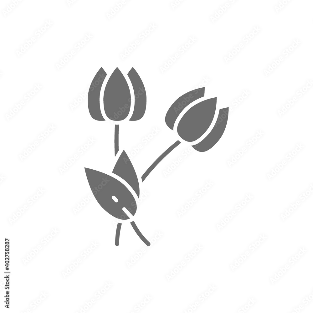 Flowers, tulips gray icon. Isolated on white background Flowers, tulips gray icon. Isolated on white background