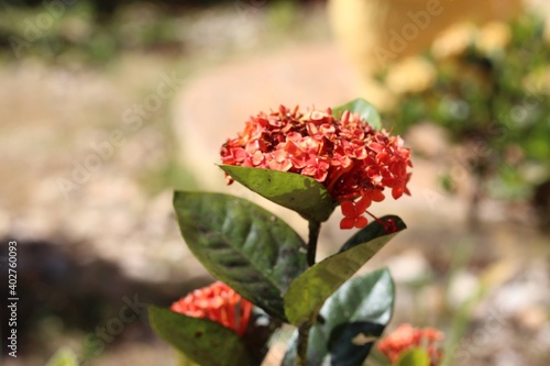 Wallpaper Mural stock_image Torontodigital.ca