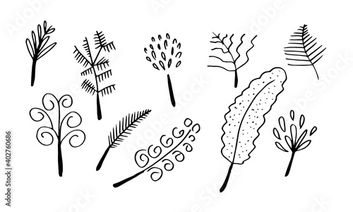 a collection of hand-drawn flower images such as bellflower, chrysanthemums, sunflowers, cotton flowers, and tropical leaves